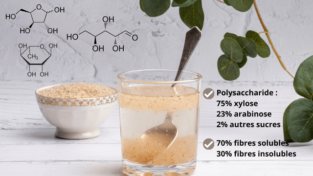 Composition du mucilage du psyllium blond en fibres solubles et insolubles